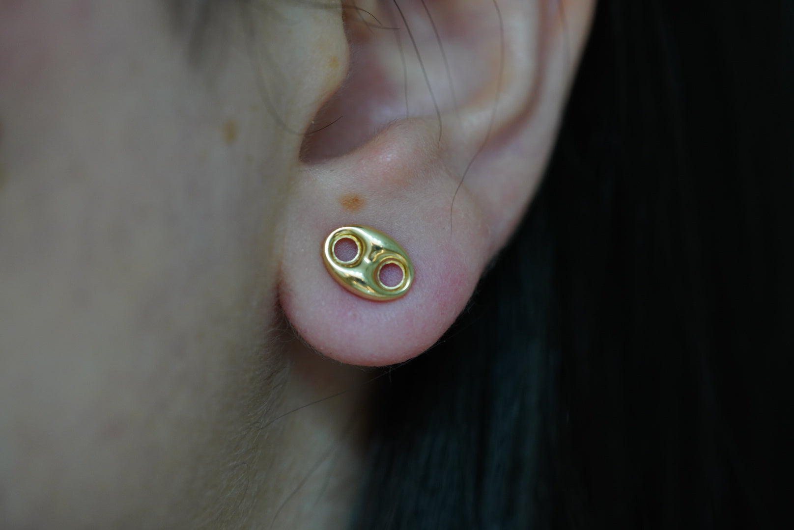 14k Mariner Earrings - Golden Whisper